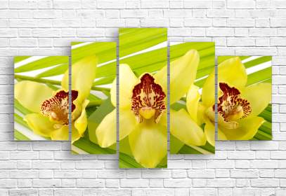 Модульная картина - Орхидея на абстрактном фоне_30