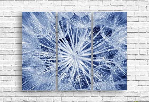 💎 Tablou modular: Păpădie strălucitoare