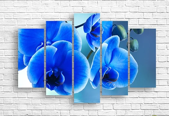 💙 Tablou modular: Orhidee albastră