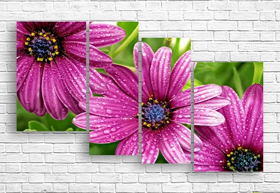 🌸 Tablou modular: Floare roz cu picături de rouă