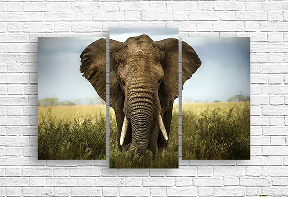 🐘 Tablou modular Elefant african maiestuos