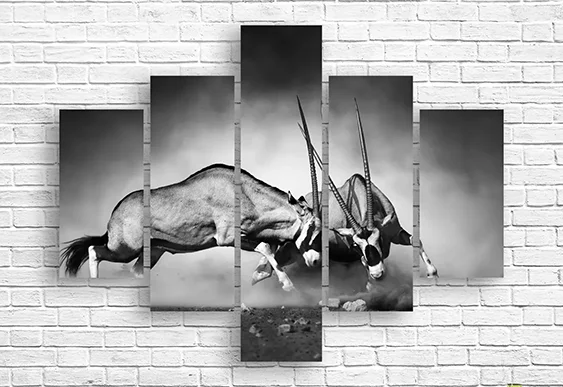 ⚔️ Модульная картина Сражение антилоп орикс ЧБ