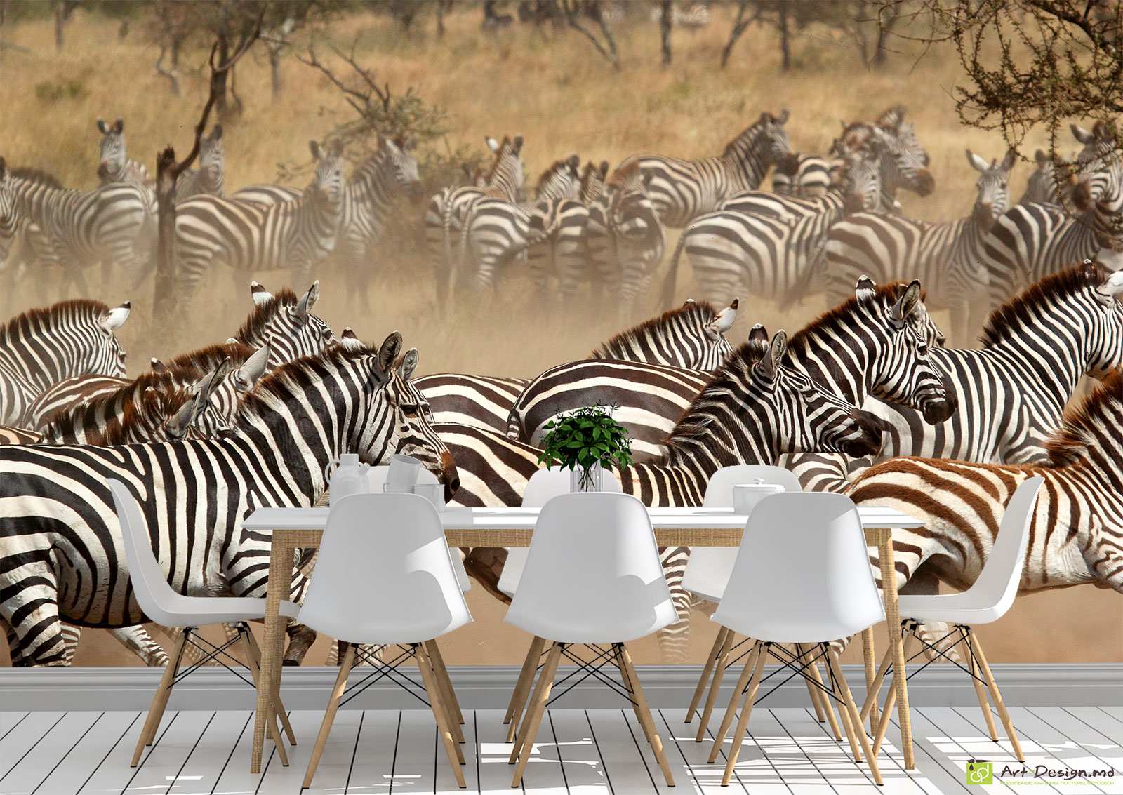 Fototapet la comanda - O turmă de zebre