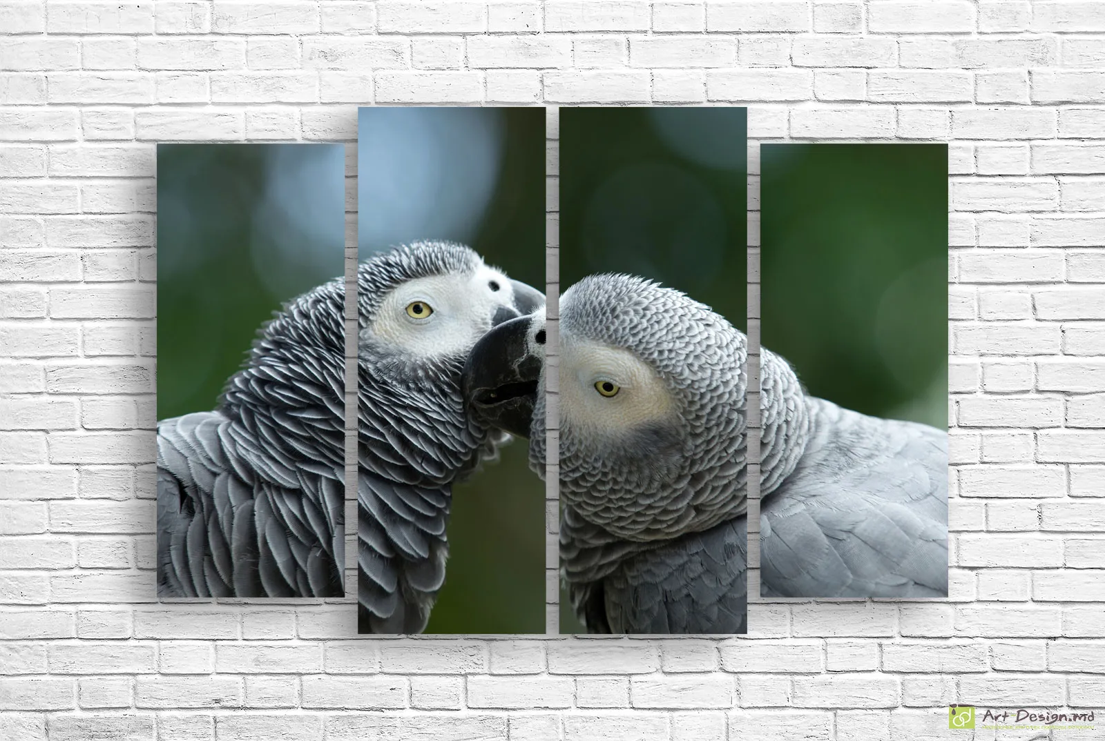 🦜 Модульная картина «Серые попугаи»
