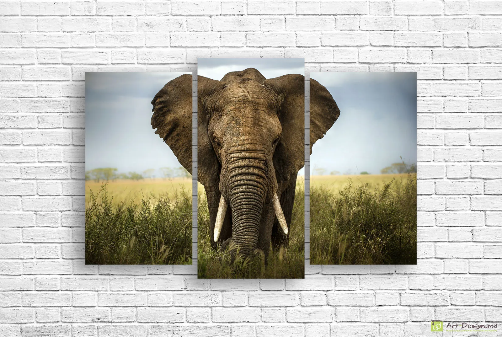 🐘 Модульная картина Величественный африканский слон