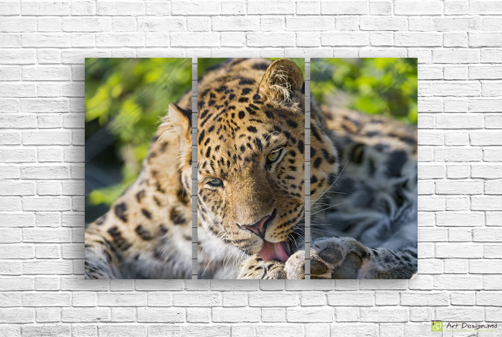 🐆 Модульная картина Пятнистый леопард на отдыхе