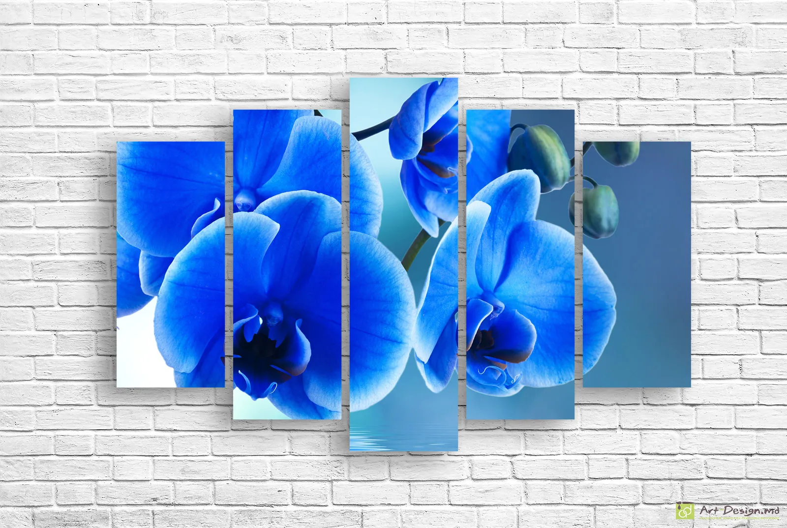 💙 Tablou modular: Orhidee albastră