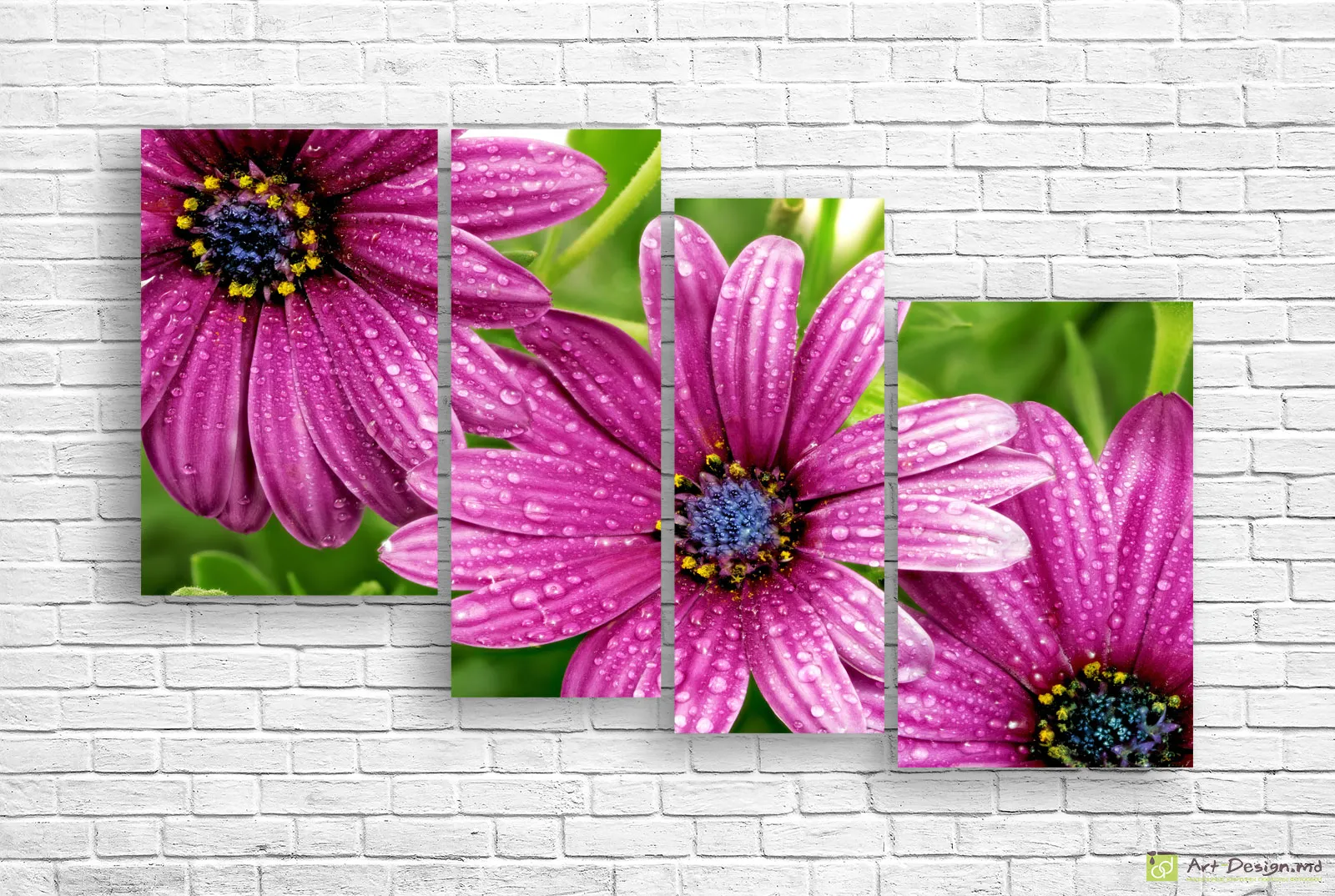 🌸 Tablou modular: Flori roz cu picături