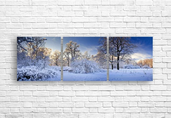 ❄️ Tablou modular Parc imaculat în haine de iarnă