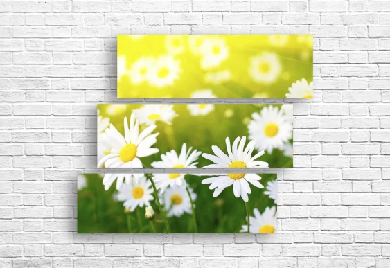 🌼 Tablou modular: Margarete în iarbă