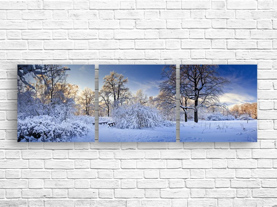 ❄️ Tablou modular Parc imaculat în haine de iarnă