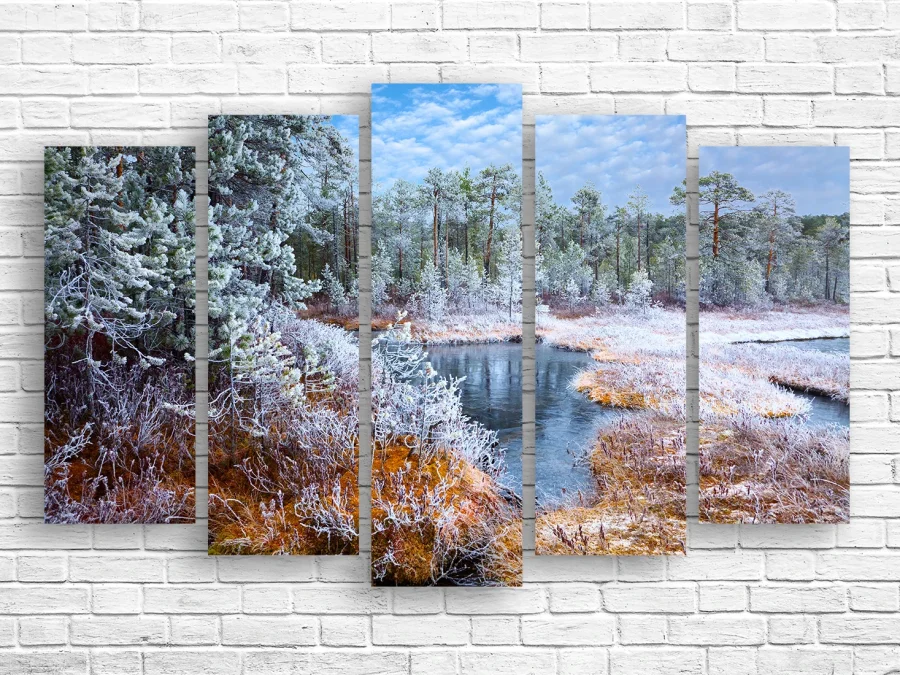 ❄️ Модульная картина Зимнее озеро в инее