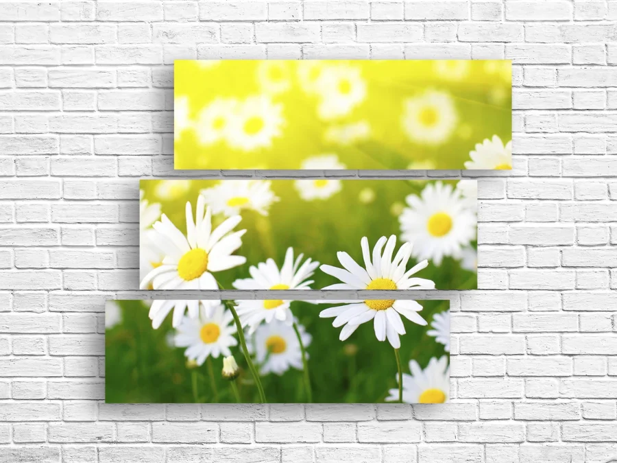 🌼 Tablou modular: Margarete în razele soarelui