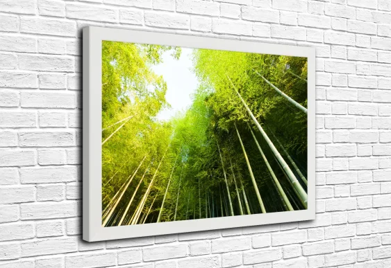 🎋 Картина «Бамбуковый лес вверх к свету»
