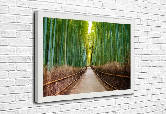 🎋 Бамбуковая аллея с дорогой в зелёном лесу