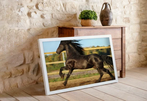 🐎 Cal negru în mișcare în ramă albă