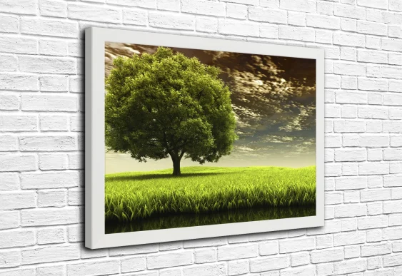 🌳 Одинокое дерево на зелёном поле в белой раме