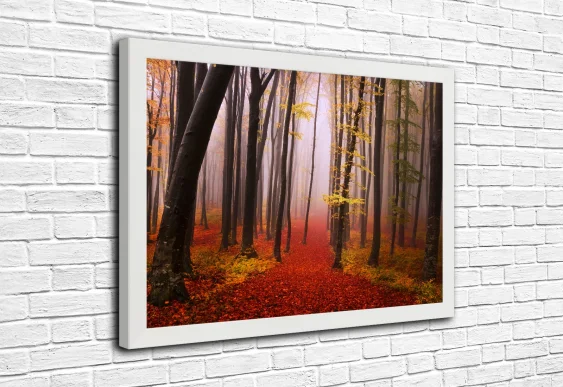 🍁 Картина «Осенний лес в тумане»