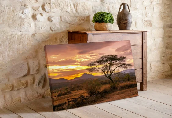 🌅 Tablou pe panza Peisaj de savană cu salcâm la apus