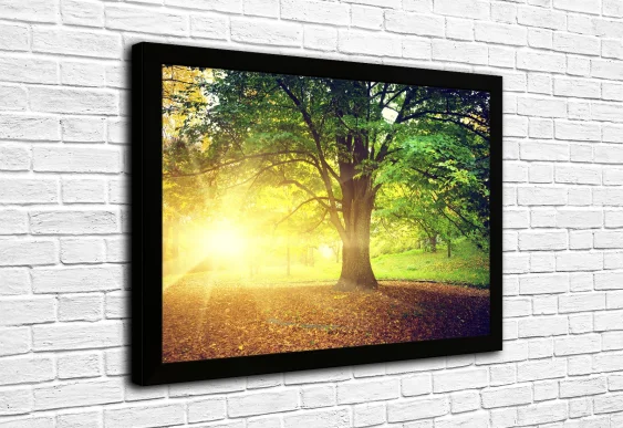 🌳 Картина «Солнечный свет сквозь дерево»