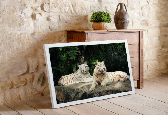 Tablou familie de lei în ramă albă pe panza