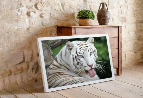 Tablou portret leu alb-negru prim-plan