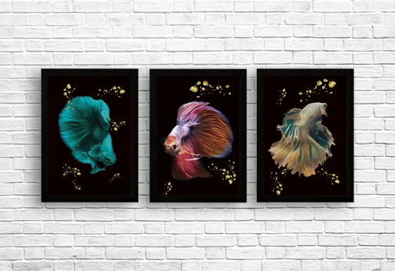 🐠 Trei pești decorativi în ramă