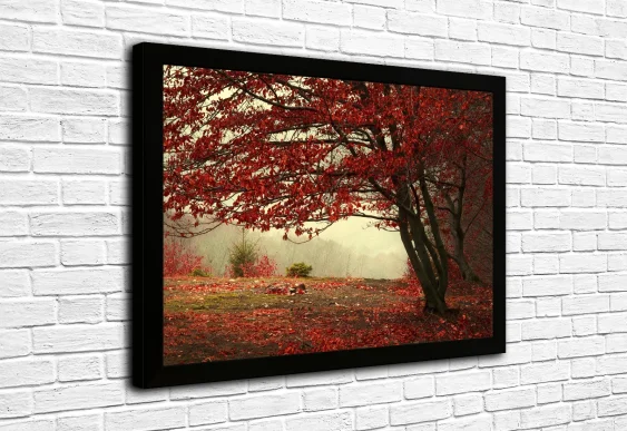 🍁 Картина «Красное дерево в осеннем саду»