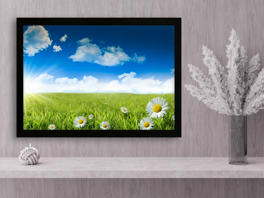 🌼 Картина «Ромашковое поле под солнцем»