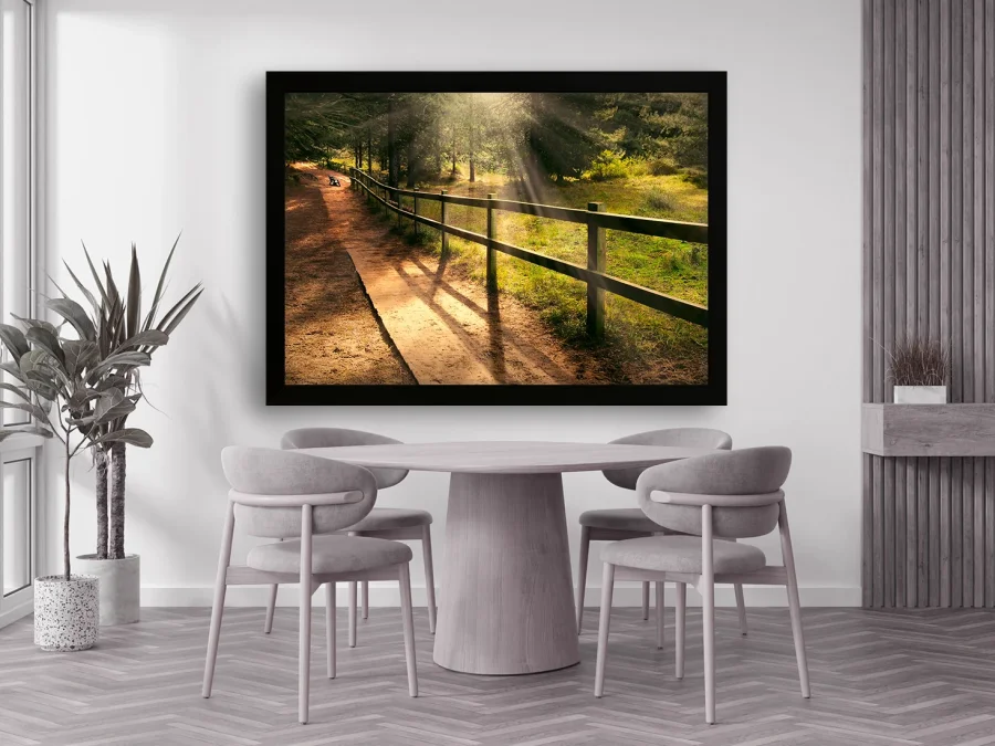 🌲 Alee de pădure cu raze de soare în parc