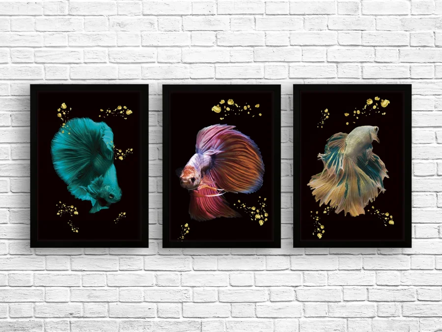 🐠 Trei pești decorativi în ramă