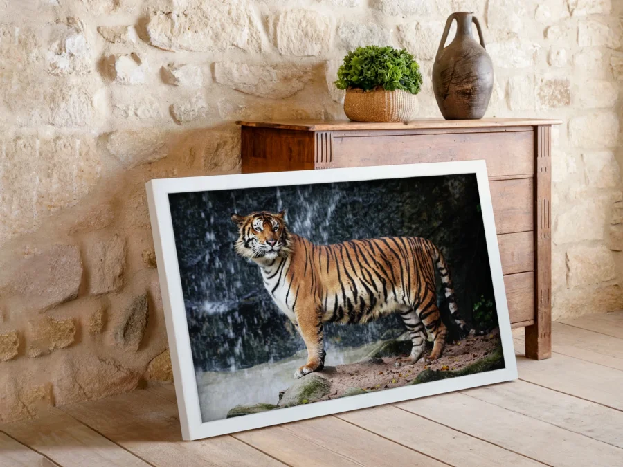 🐅 Tigru lângă cascadă în natură în ramă