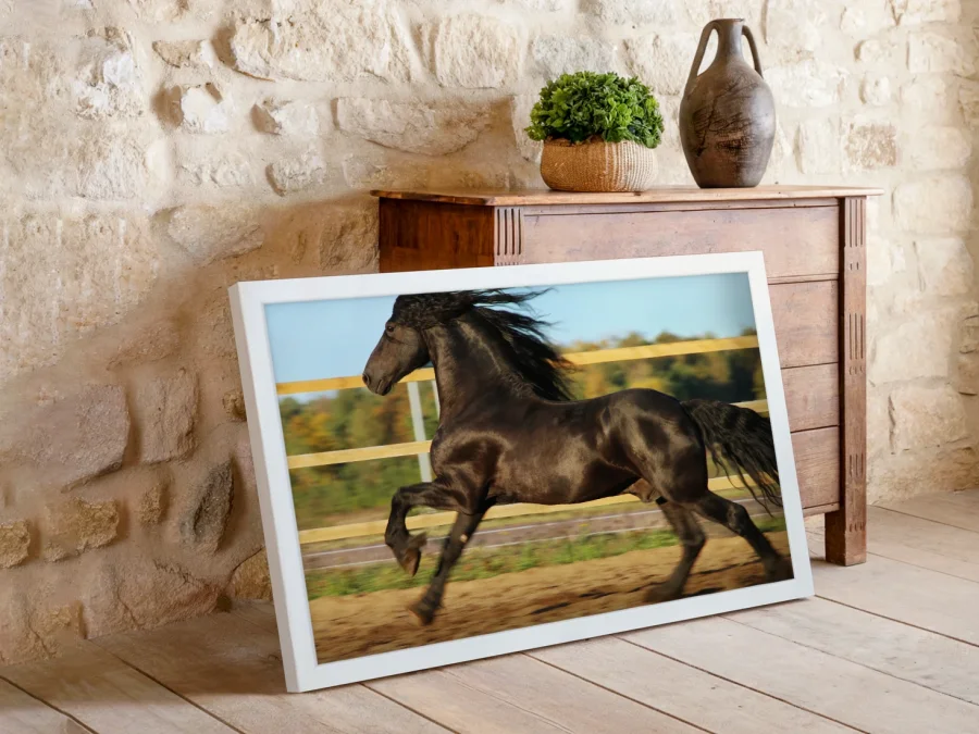 🐎 Cal negru în mișcare în ramă albă