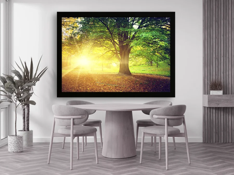 🌳 Tablou „Lumină prin copac în natură”