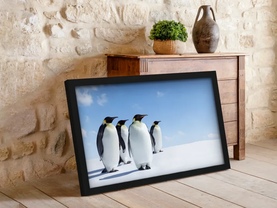 🐧 Pinguini pe zăpadă sub cer albastru în ramă