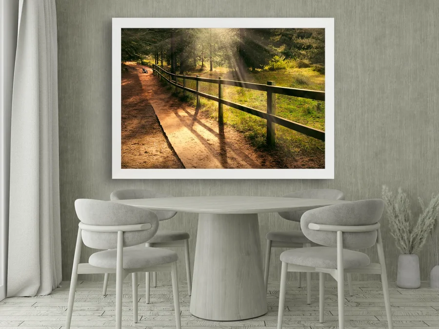 🌲 Alee de pădure cu raze de soare în parc