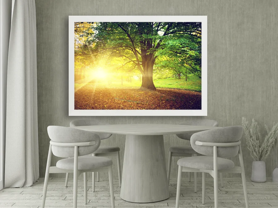 🌳 Tablou „Lumină prin copac în natură”