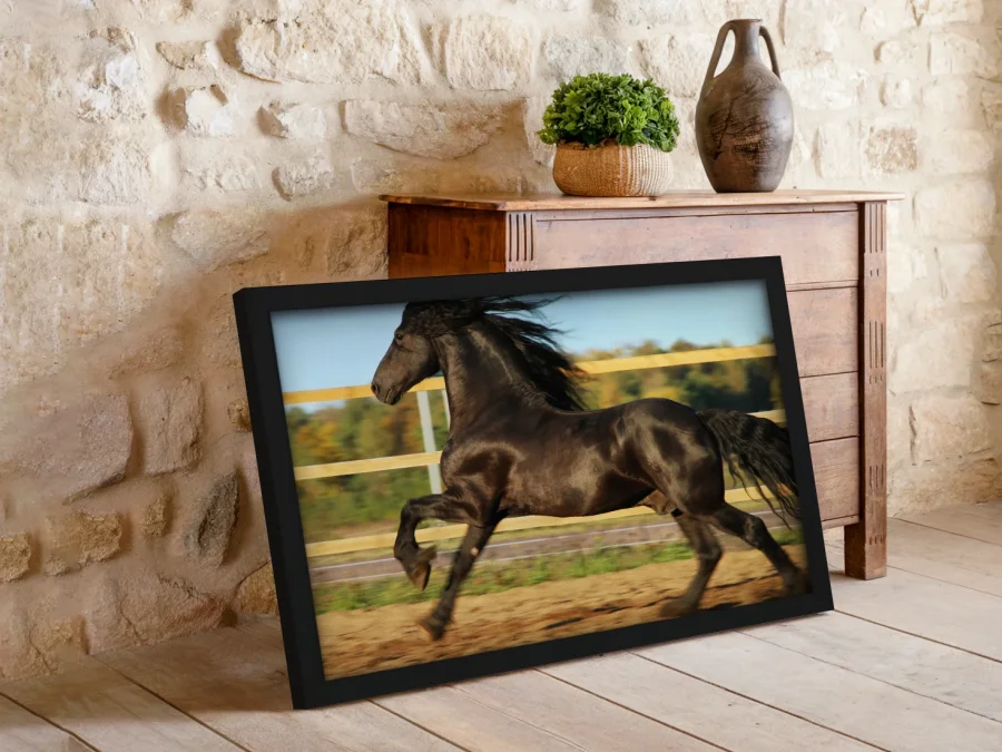🐎 Cal negru în mișcare în ramă albă
