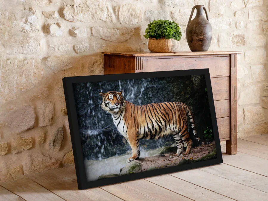 🐅 Tigru lângă cascadă în natură în ramă