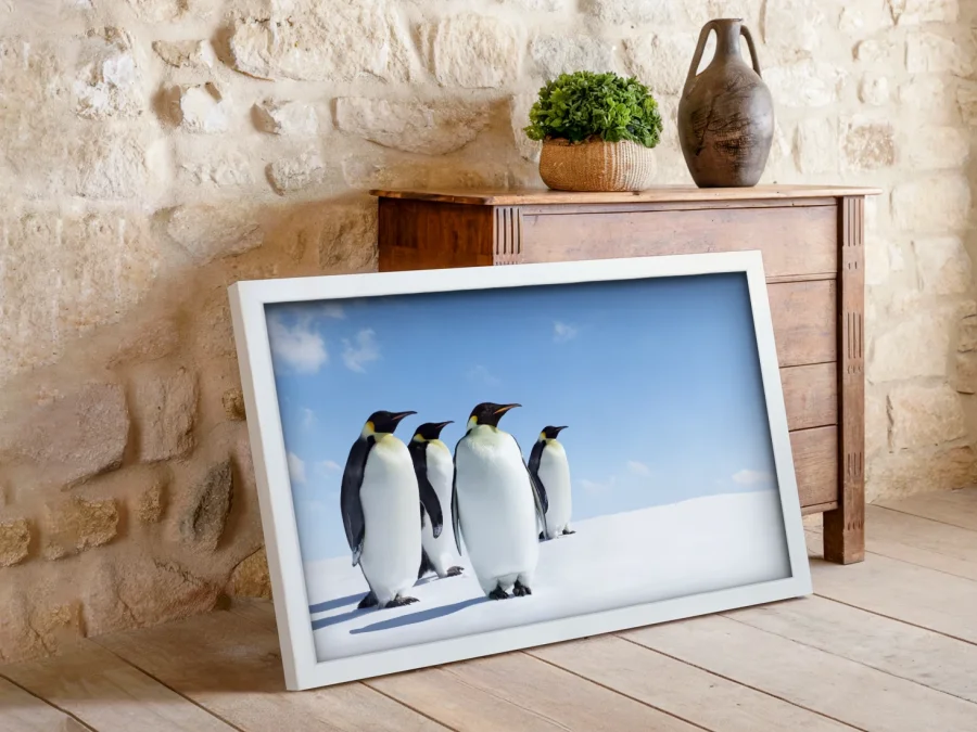 🐧 Pinguini pe zăpadă sub cer albastru în ramă