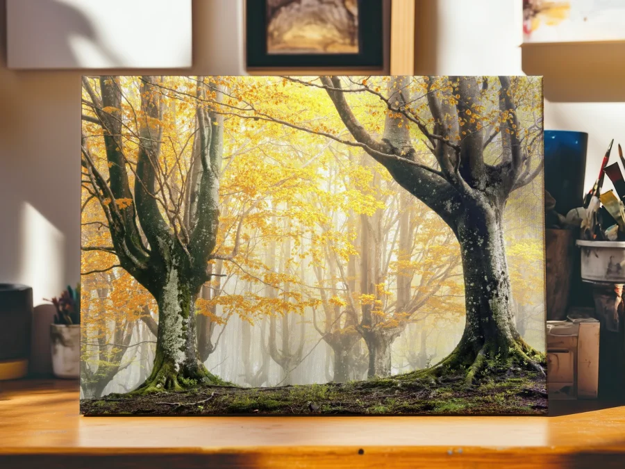 🍂 Tablou pe panza Padure de fag tomnatica in ceata aurie