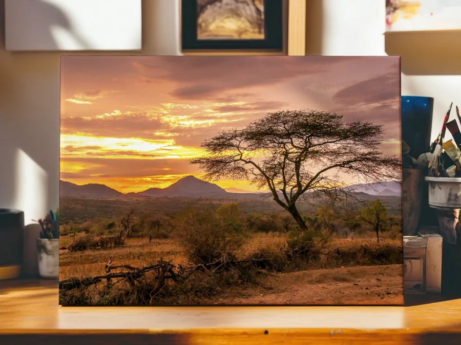 🌅 Tablou pe panza Peisaj de savană cu salcâm la apus