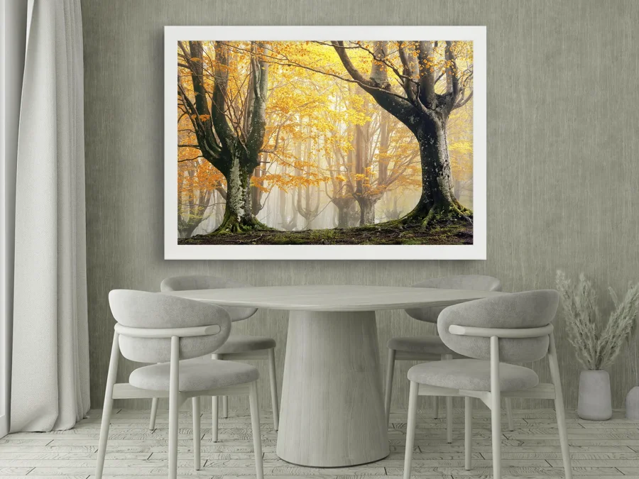 🍂 Осенний лес с золотыми деревьями в тумане