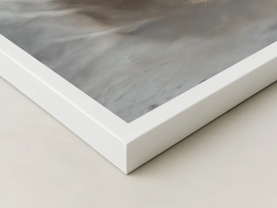 🦁 Tablou în ramă pui de leu cu reflexia unui leu adult