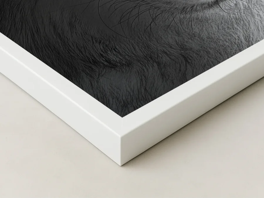 🐺 Tablou în ramă lup cu ochi albaștri portret expresiv