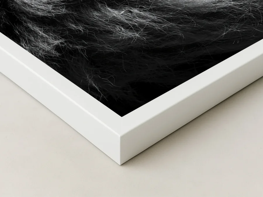 Tablou leu alb-negru în profil pe panza