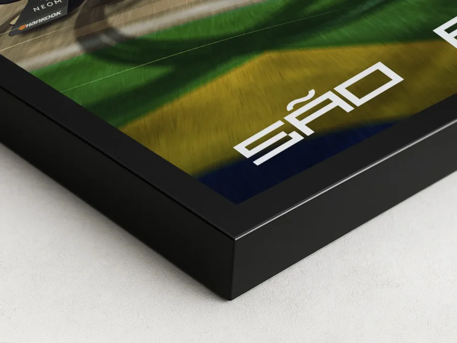 🏎️ Постер São Paulo E-Prix динамика гонки