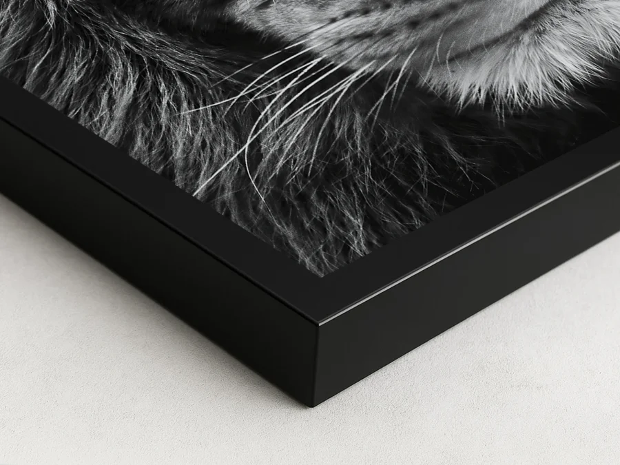 Tablou portret leu alb-negru prim-plan