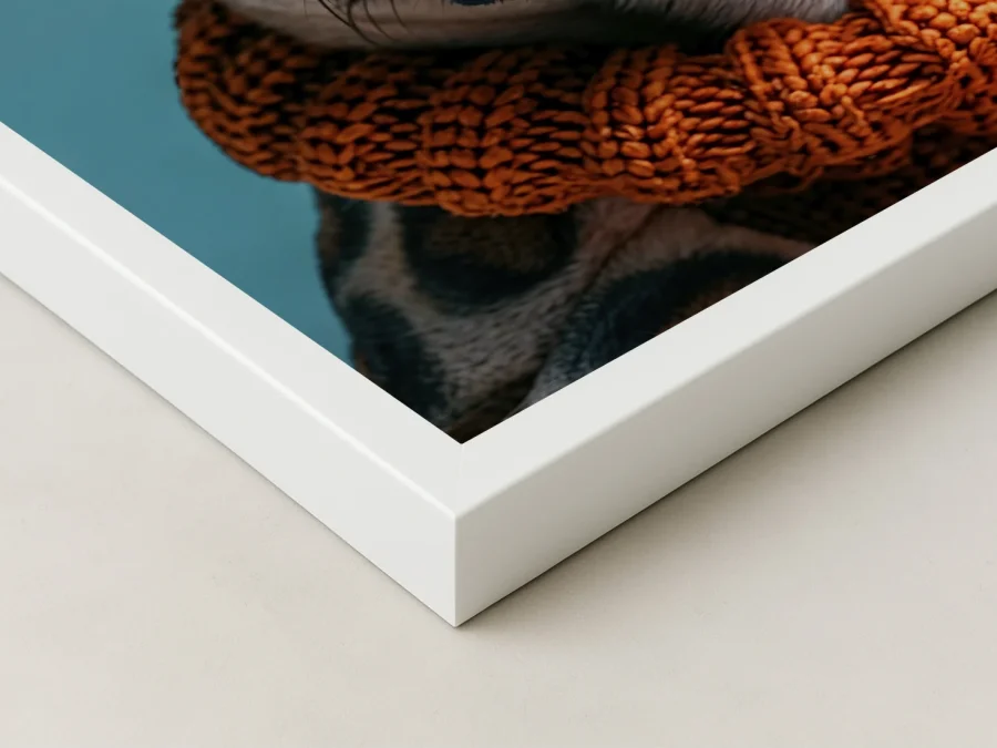 🐶 Картина стильный мопс в очках и шарфе на холсте