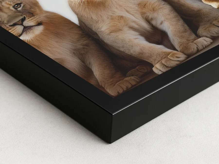 Tablou familie de lei în ramă albă pe panza